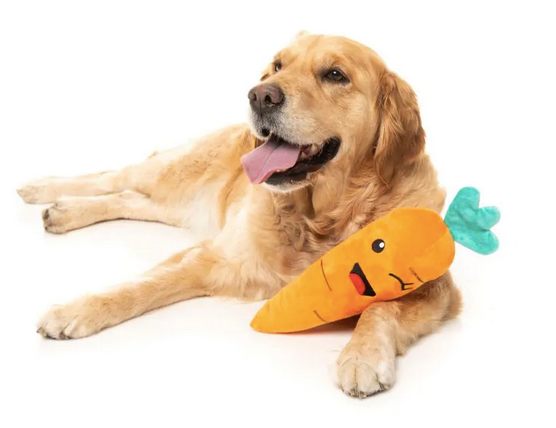 Fuzzyard Winky Carrot Dog Toy