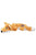 KONG Scrunch Knots Fox Dog Toy, Medium