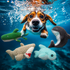 Official Shark Pampered Pooch Box