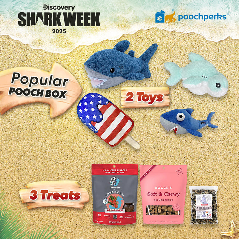 Discovery Shark Week Pooch Box