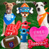Official Puppy Bowl Pampered Pooch Box