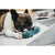 P.L.A.Y. Globetrotter Dog Toy - Pucci's Sandal
