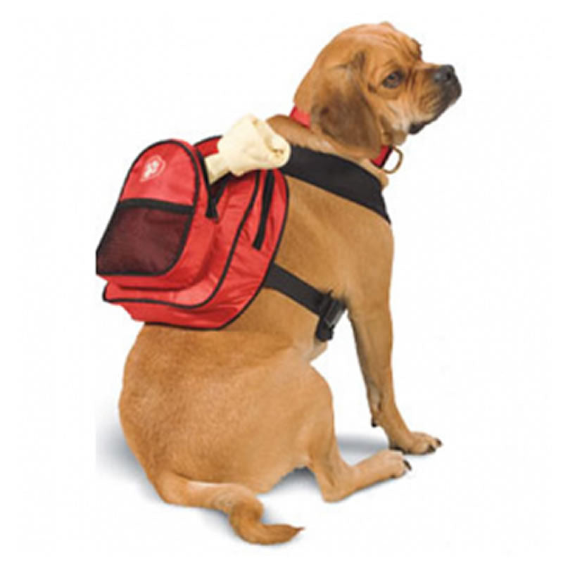 Best Dog Backpack Harness To Wear