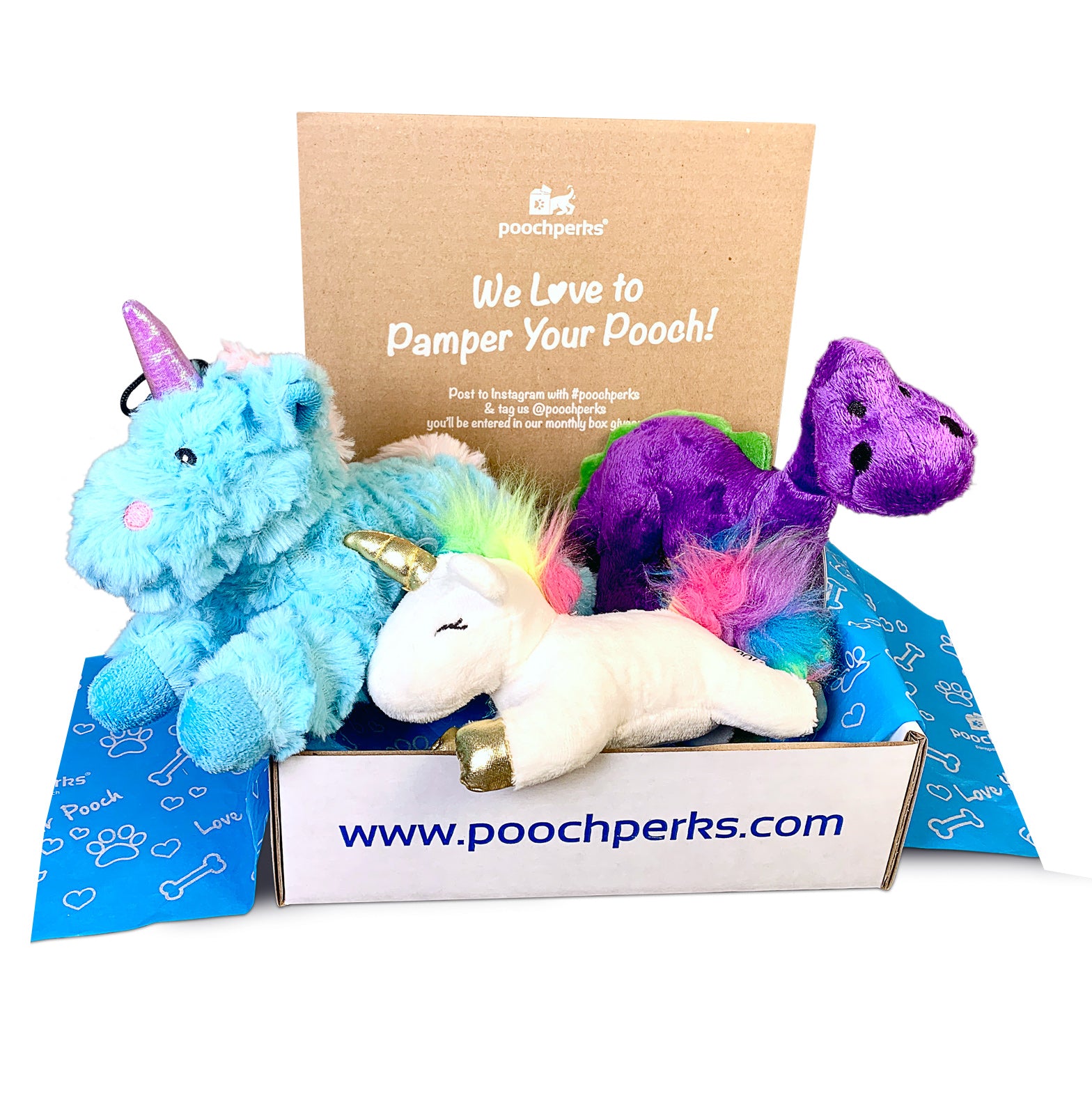 Monthly Subscription