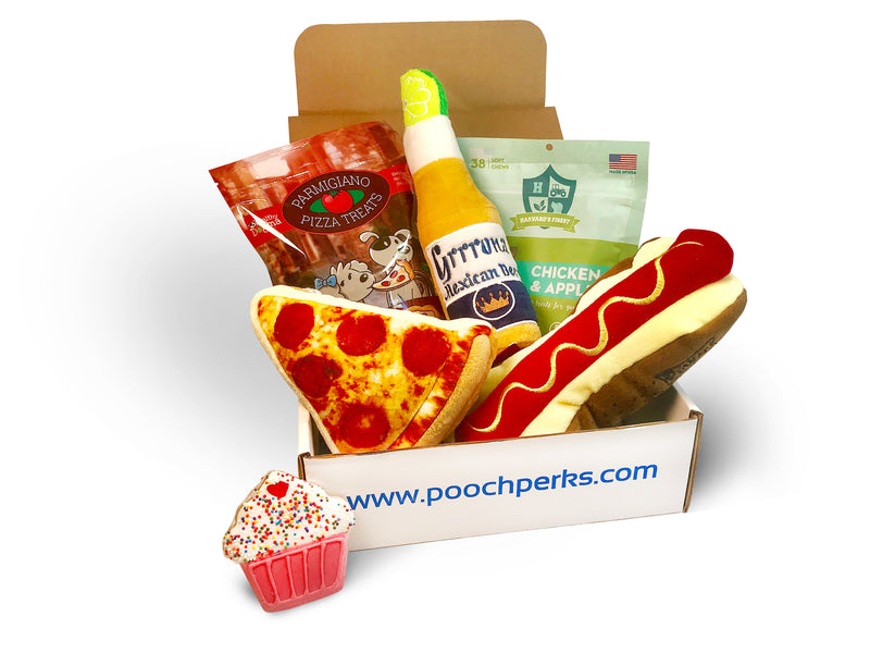 Popular Pooch Dog Box Monthly