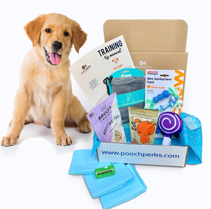 New Puppy Welcome Home Gift Box » Pampered Paw Gifts